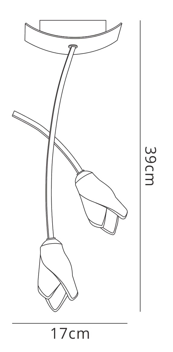 M0188AB  Pietra AB Ceiling 2 Light